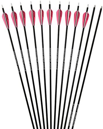 Pink Purge Arrows