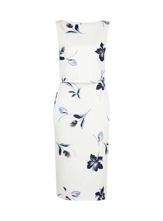 **Lily & Franc Ivory Floral Print Scuba Dress | Dorothy Perkins