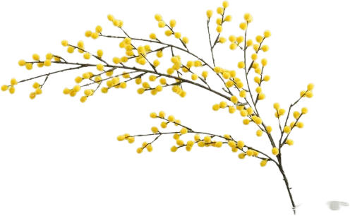 Mimosa Yellow Single Spray