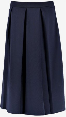 navy skirt