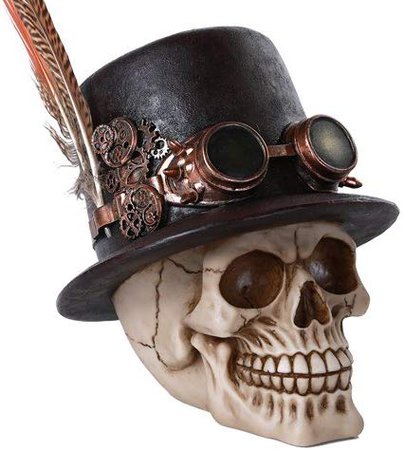 Steampunk Feathered Top Hat Skull with Steampunk Goggles Collectible Figurine Skull Decor: Amazon.ca: Home & Kitchen