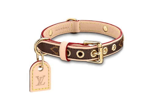 Louis Vuitton Dog Collar