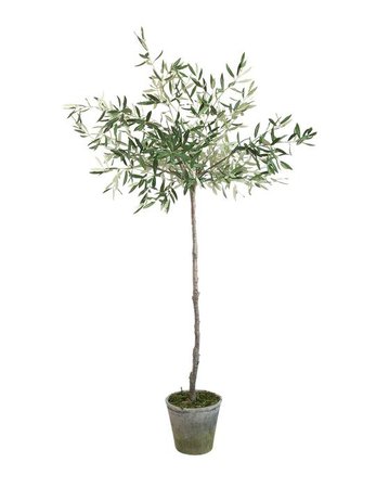 Faux Potted Olive Tree – McGee & Co.