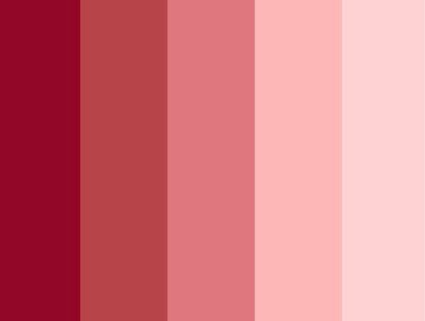 red pink gradient colour pallet