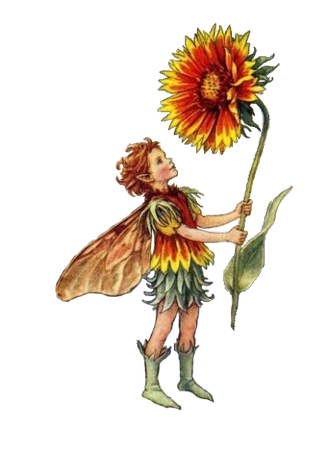 fairy png
