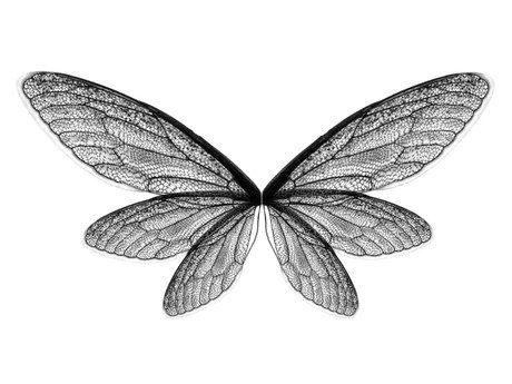 silver fairy wings - Google Search