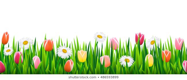 seamless-border-grass-flowers-vector-260nw-486593899.jpg (650×280)