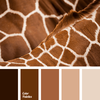 monochrome brown palette | Color Palette Ideas