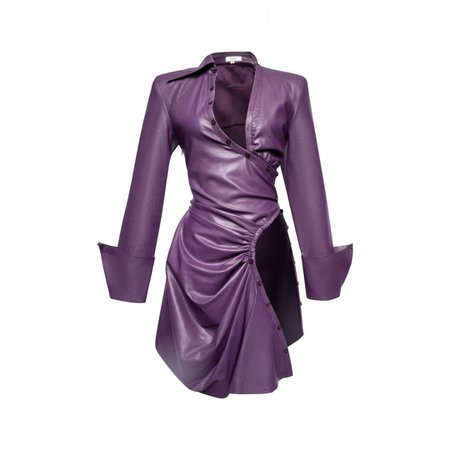 hanifa purple leather dress