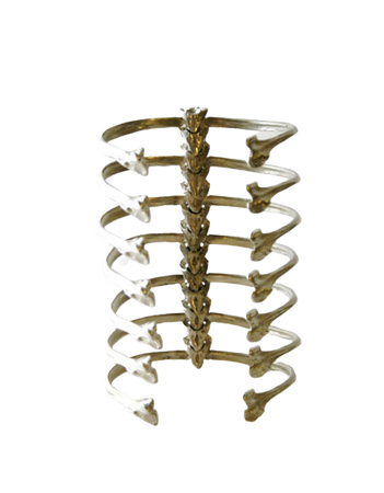 spine silver bracelet