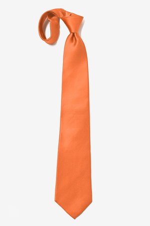 Silk Burnt Orange Tie | Ties.com