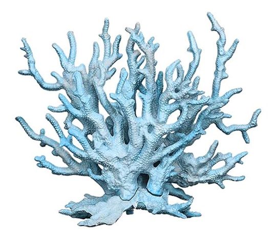 blue coral