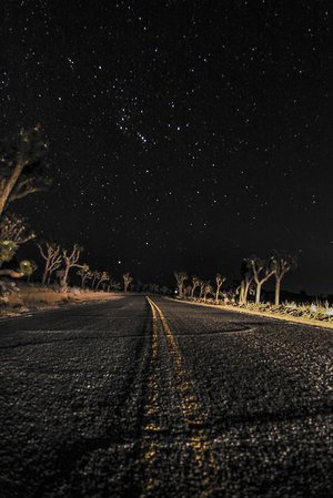 4x4girl: This is what I see at night when I drive. Regardless of where I am. | Photography. in 2018 | Pinterest | Night skies, Night and Sky