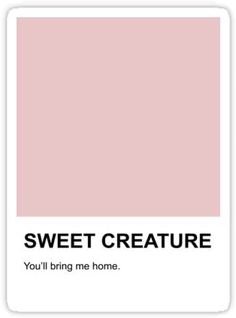 sweet creature by harry styles
