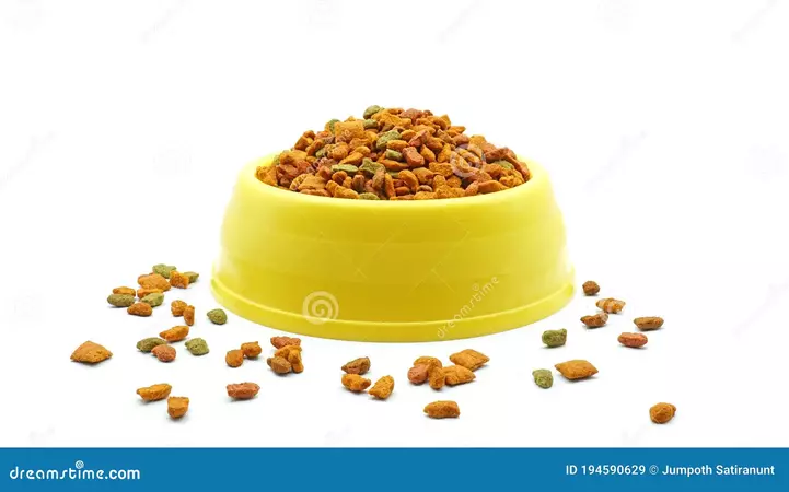 dry-cat-food-yellow-bowl-spilled-out-granular-feed-pet-isolated-white-background-dry-cat-food-yellow-bowl-194590629.jpg (1600×999)
