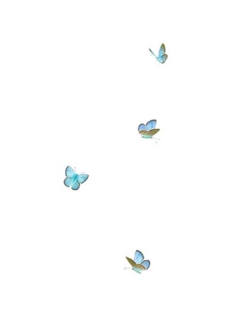 blue butterflies png filler