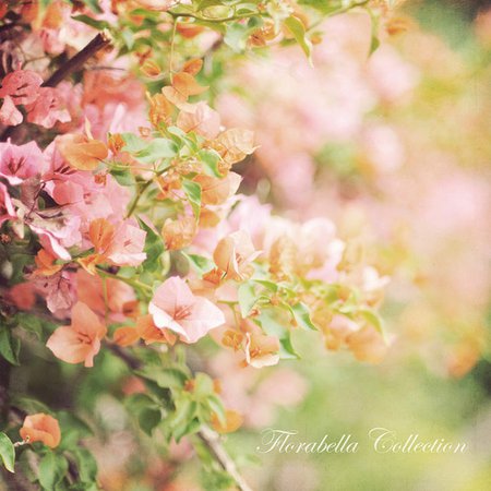 Sunny Floral Background in Pastels