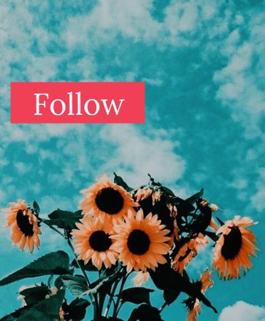 follow