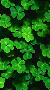 st Patrick’s day aesthetic - Google Search