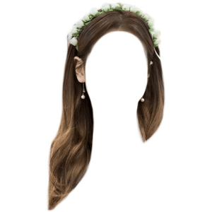 brown hair flower crown png