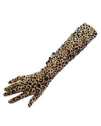 Black Long Leopard Print Gloves Description Delivery & Returns Reviews in Orange - Lyst