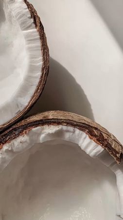 coconut (750×1333)