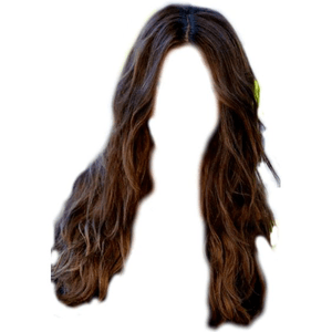 Long Brown Hair