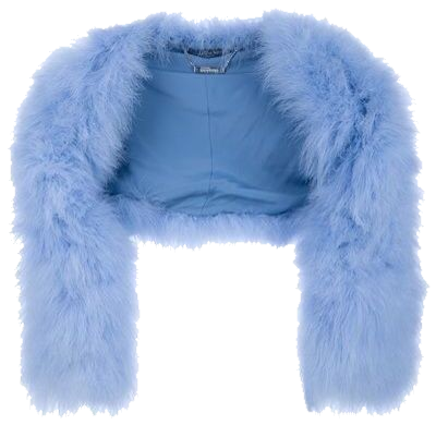 Fluffy blue vest
