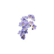 purple png polyvore - Google Search