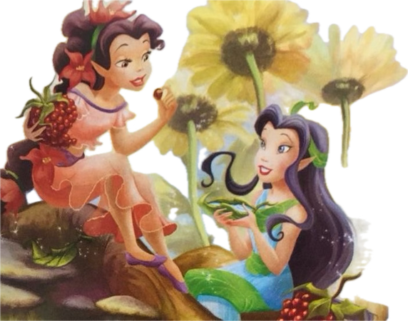 Disney Fairies Illustration Fira and Silvermist
