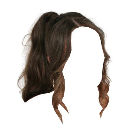 long brown hair high ponytail curled hairstyle