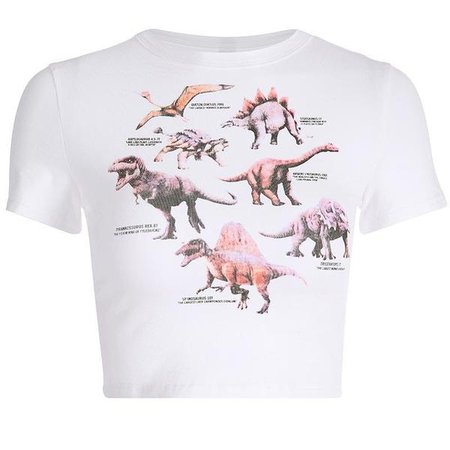 Dinosaur Infographic Diagram Crop Top White T-shirt | DDLG Playground