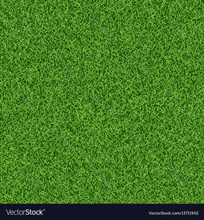 Green grass seampess texture - summer background Vector Image