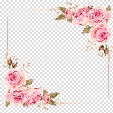 Simple hand-drawn Rose border transparent background PNG clipart | PNGGuru