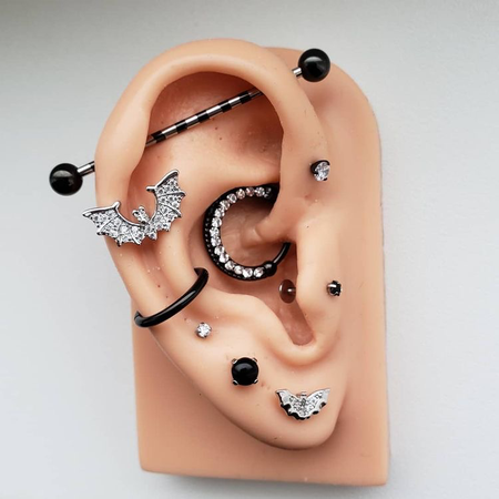 curated ear
