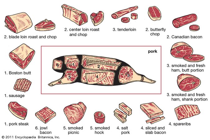 cuts of pig - Google Search