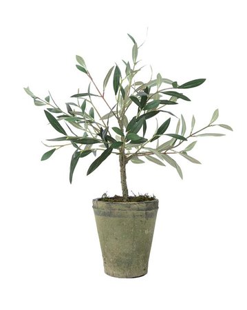 Faux Potted Charleston Olive Tree – McGee & Co.