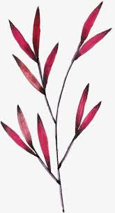 maroon leaves watercolor - Google Search
