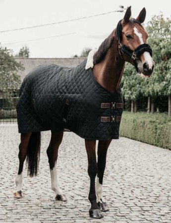 Horse rugs