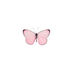 Skraps | Shareapic.net ❤ liked on Polyvore featuring butterflies, fillers, animals, backgrounds, pink, effects and pattern | Pink aesthetic, Pink, Aesthetic