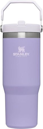 Amazon.com: Stanley IceFlow Stainless Steel Tumbler with Straw - Vacuum Insulated Water Bottle for Home, Office or Car - Reusable Cup Leakproof Flip - Cold for 12 Hours or Iced for 2 Days (Lavender) : Home & Kitchen