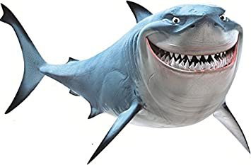 The shark off of finding Nemo - Google Search