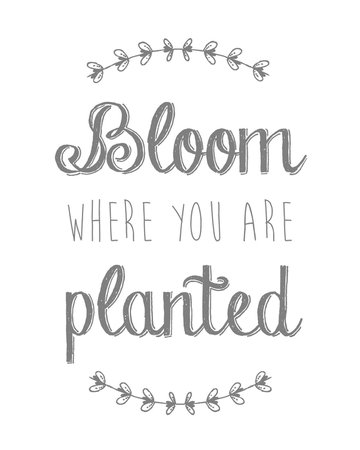 bloom where you are planted - Google Search