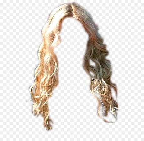 Wig Hair coloring Brown hair Ringlet Long hair - wig png download - 580*870 - Free Transparent Wig png Download.