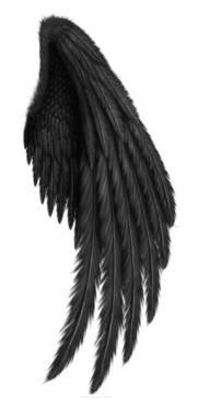 Download PNG Tattoo, wings, sketch, black wing - Free Transparent PNG