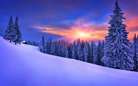 *** Beautiful Winter *** - Winter & Nature Background Wallpapers on Desktop Nexus (Image 1651733)