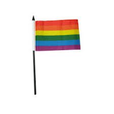 rainbow flag small - Google Search