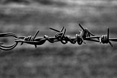 Barbed Wire Aesthetic