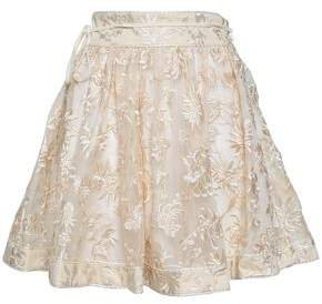 Embroidered Silk-organza Mini Skirt