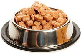 dog wet food - Google Search